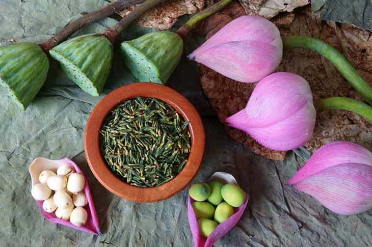 4 tác hại của thảo dược trị mất ngủ không phải ai cũng biết - Ảnh 2.