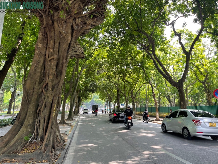 Hà Nội ngày đầu thu, dịu dàng đến nao lòng - Ảnh 1.