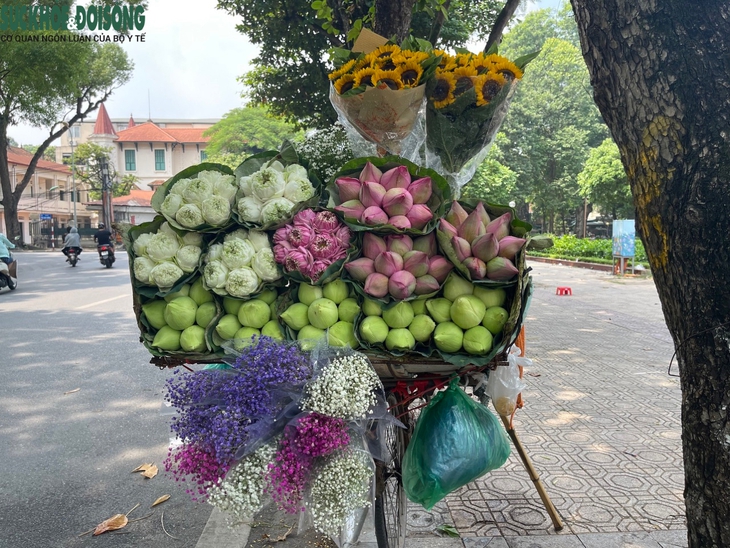Hà Nội ngày đầu thu, dịu dàng đến nao lòng - Ảnh 10.