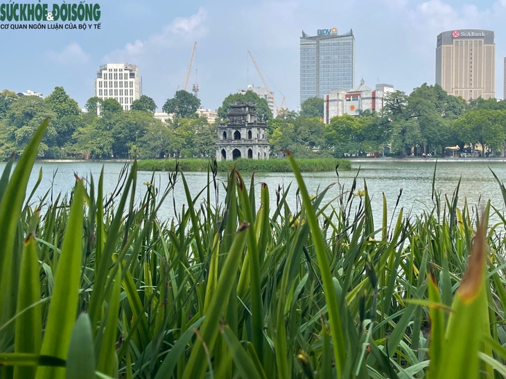 Hà Nội ngày đầu thu, dịu dàng đến nao lòng - Ảnh 6.