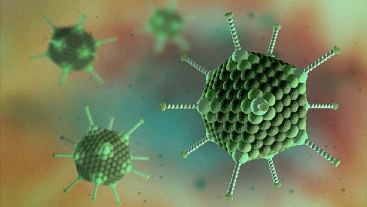 Trẻ sốt, nôn, tiêu chảy… có phải do Adenovirus? Lời khuyên của chuyên gia Nhi khoa dành cho các bậc cha mẹ - Ảnh 2.