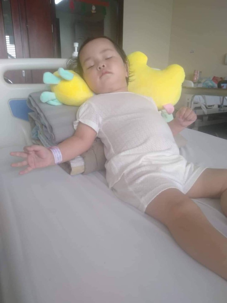 Sự sống mong manh của bé gái 21 tháng tuổi mắc bệnh hiểm nghèo - Ảnh 2.