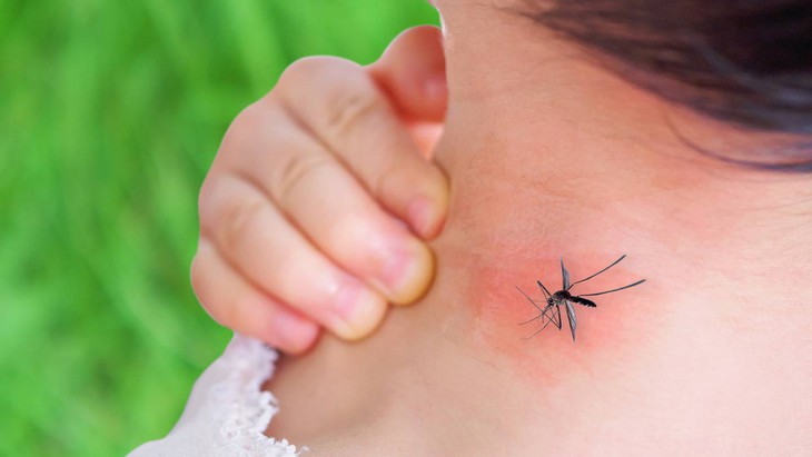 Bị muỗi đốt hay ăn chung bát có nhiễm HIV không? - Ảnh 1.