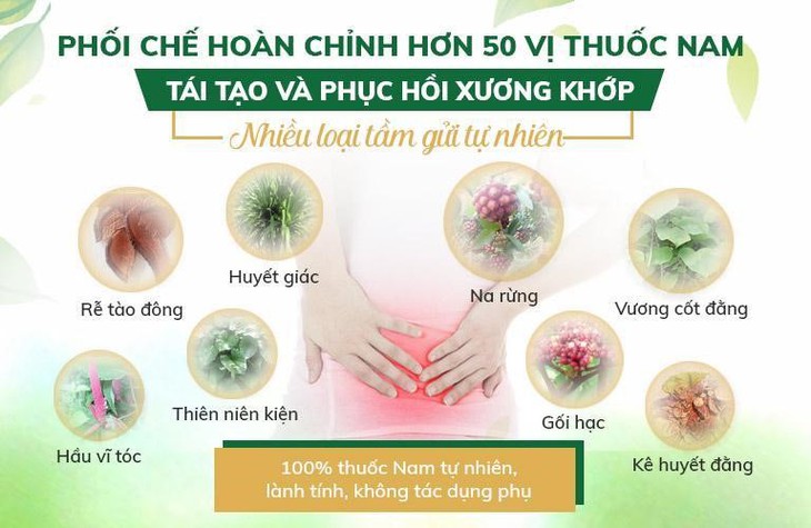Bài thuốc chữa thoát vị đĩa đệm bằng Đông Y phối chế hơn 50 vị thuốc - Ảnh 3.