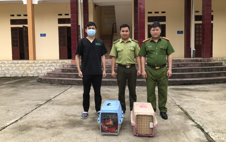Cứu hộ khẩn cấp hai cá thể Cầy vằn bắc quý hiếm sắp bị đem bán