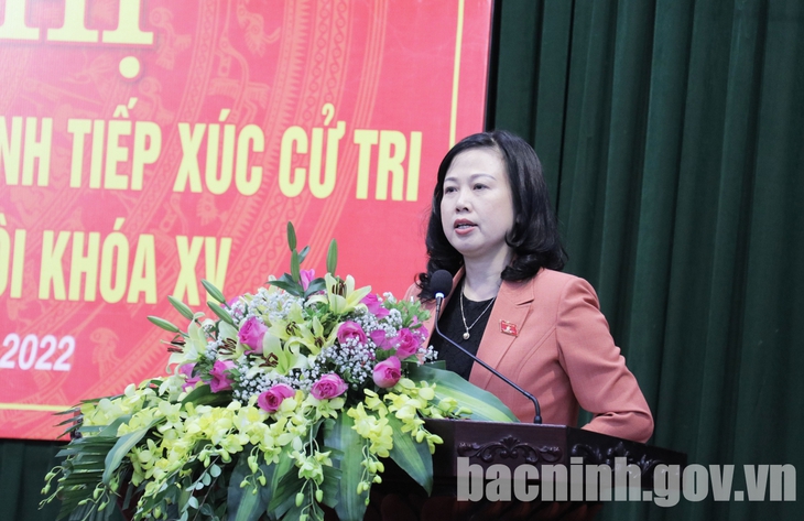 Quyền Bộ trưởng Bộ Y tế Đào Hồng Lan tiếp xúc cử tri phường Đình Bảng - Ảnh 3.