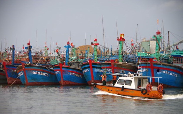 Các tỉnh, thành từ Quảng Ninh đến Bình Thuận chủ động ứng phó bão Noru