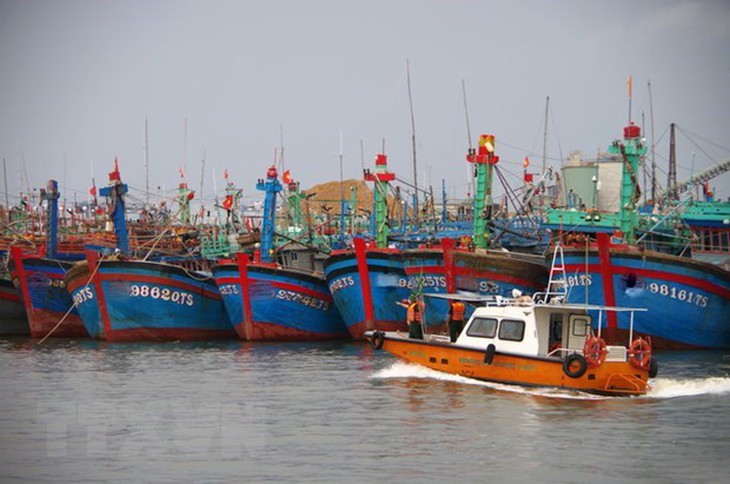 Các tỉnh, thành từ Quảng Ninh đến Bình Thuận chủ động ứng phó bão Noru - Ảnh 1.