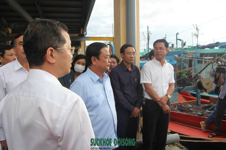 Đà Nẵng chuẩn bị ứng phó với siêu bão Noru ra sao? - Ảnh 1.