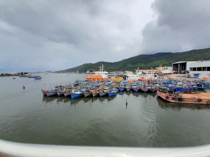 Các khu neo đậu chật kín, vẫn còn 16 tàu hoạt động trong vùng nguy hiểm của bão Noru - Ảnh 1.