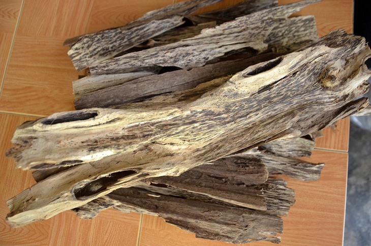 Những cây thuốc quý của đồng bào dân tộc Khmer vùng Bảy Núi - Ảnh 2.