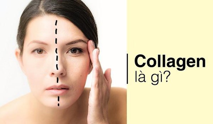 Collagen và những điều bạn cần biết - Ảnh 1.