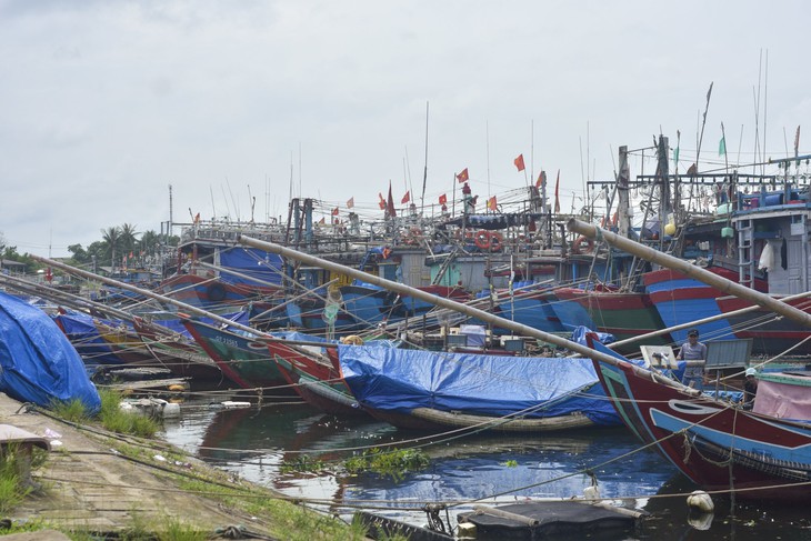 Quyết liệt phòng chống siêu bão Noru từ biển đến rừng - Ảnh 1. Quyết liệt phòng chống siêu bão Noru từ biển đến rừng - Ảnh 1.