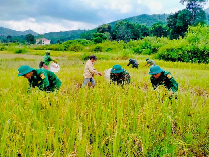 Quyết liệt phòng chống siêu bão Noru từ biển đến rừng - Ảnh 8. Quyết liệt phòng chống siêu bão Noru từ biển đến rừng - Ảnh 8.