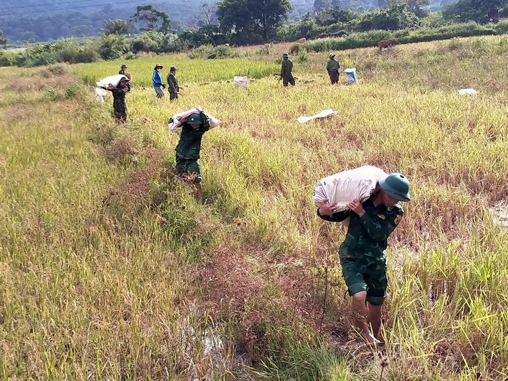 Quyết liệt phòng chống siêu bão Noru từ biển đến rừng - Ảnh 9. Quyết liệt phòng chống siêu bão Noru từ biển đến rừng - Ảnh 9.