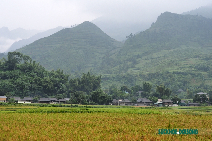 Cốm Tú Lệ - tinh hoa của vùng Tây Bắc - Ảnh 2.
