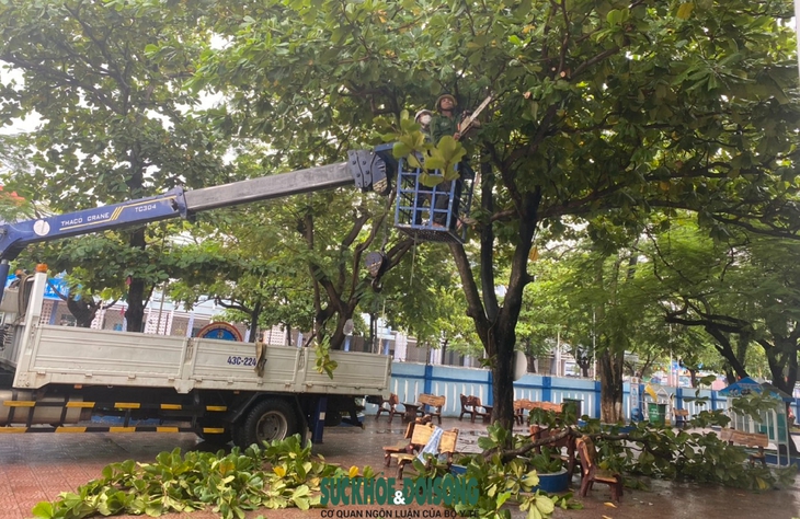 Thầy cô hối hả chằng chống trường lớp trước khi siêu bão Noru đổ bộ - Ảnh 9.