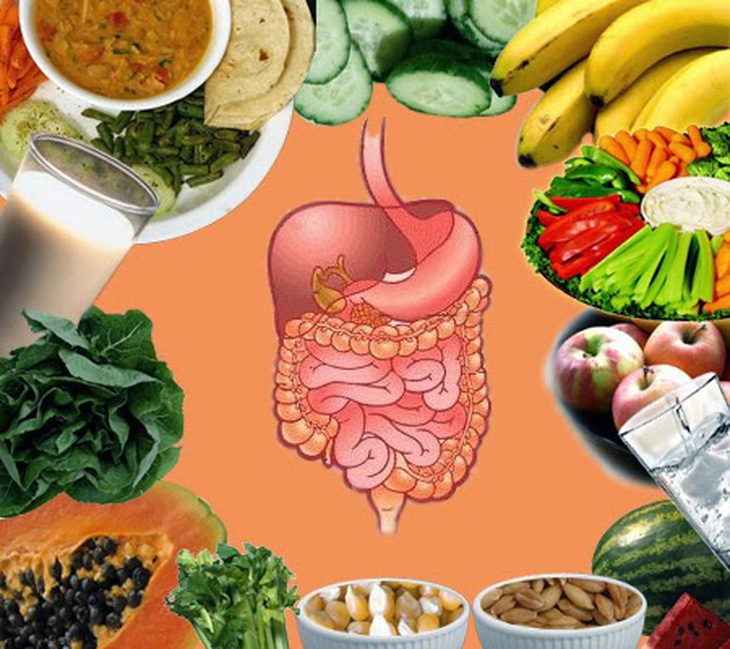 Hệ vi sinh vật đường ruột khỏe mạnh có giúp bạn giảm cân? - Ảnh 4.