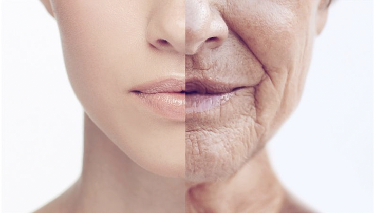 Collagen Nhật Bản khiến phái đẹp Việt Nam mê mẩn - Ảnh 1.