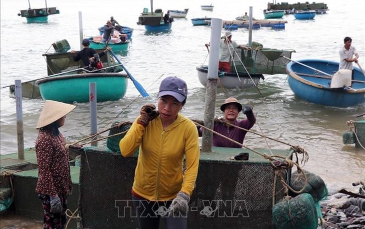 Thủ tướng tiếp tục ra Công điện yêu cầu tập trung ứng phó khẩn cấp với siêu bão Noru