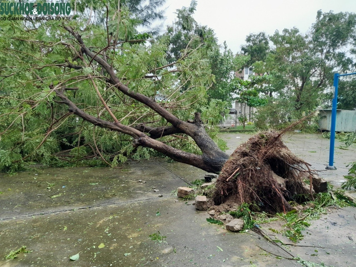 Đà Nẵng thiệt hại ra sao sau khi cơn bão Noru đổ bộ? - Ảnh 1.