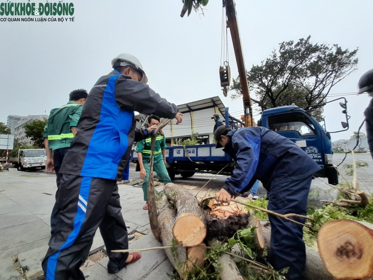Đà Nẵng thiệt hại ra sao sau khi cơn bão Noru đổ bộ? - Ảnh 12.