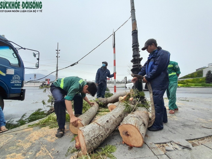 Đà Nẵng thiệt hại ra sao sau khi cơn bão Noru đổ bộ? - Ảnh 14.