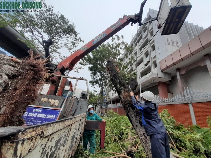 Đà Nẵng thiệt hại ra sao sau khi cơn bão Noru đổ bộ? - Ảnh 15.