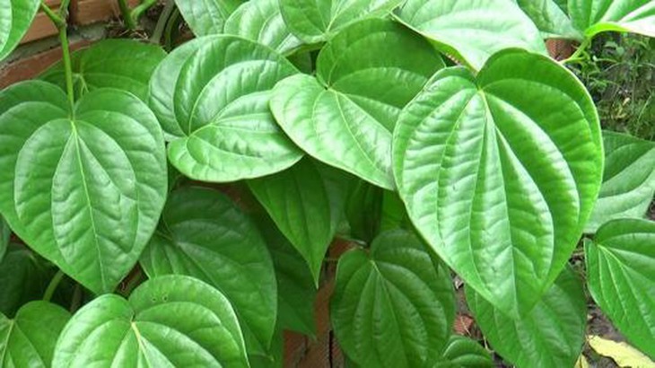 photo-1664349054994