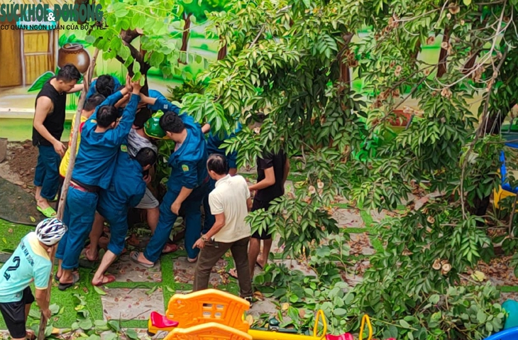 Bão vừa tan, thầy cô lại tất bật dọn dẹp trường lớp để đón học sinh vào ngày mai - Ảnh 1.