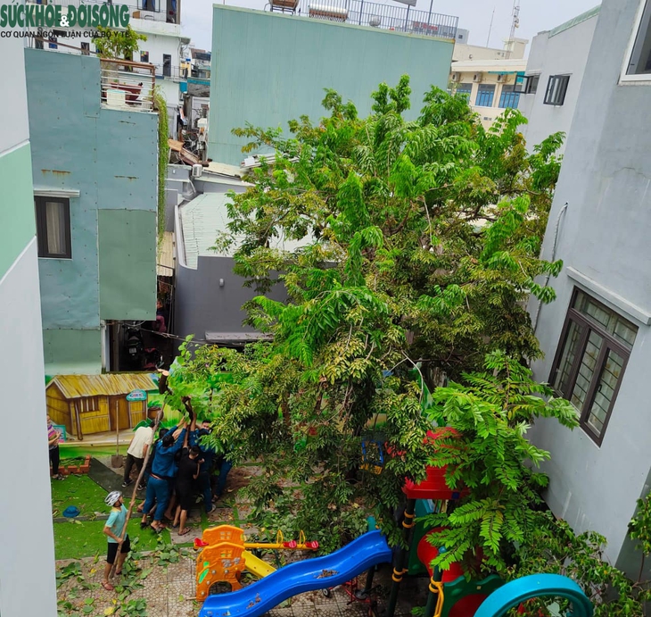 Bão vừa tan, thầy cô lại tất bật dọn dẹp trường lớp để đón học sinh vào ngày mai - Ảnh 11.