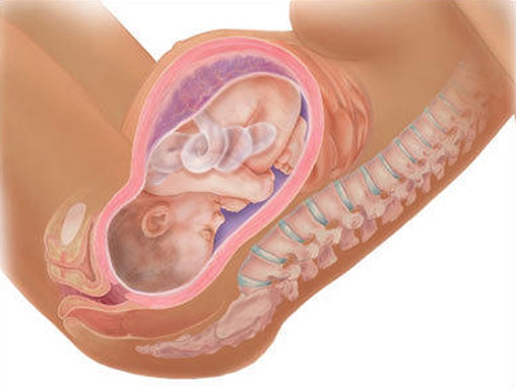 Kích thước âm đạo có quan trọng trong 'chuyện ấy' không? - Ảnh 4. Kích thước âm đạo có quan trọng trong 'chuyện ấy' không? - Ảnh 4.