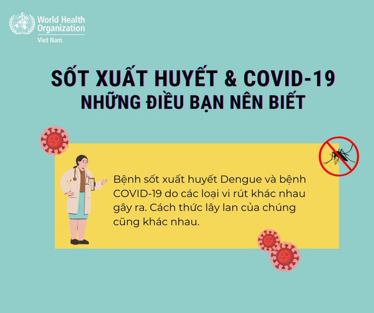 Sốt xuất huyết & COVID-19 - Những điều bạn nên biết - Ảnh 1.
