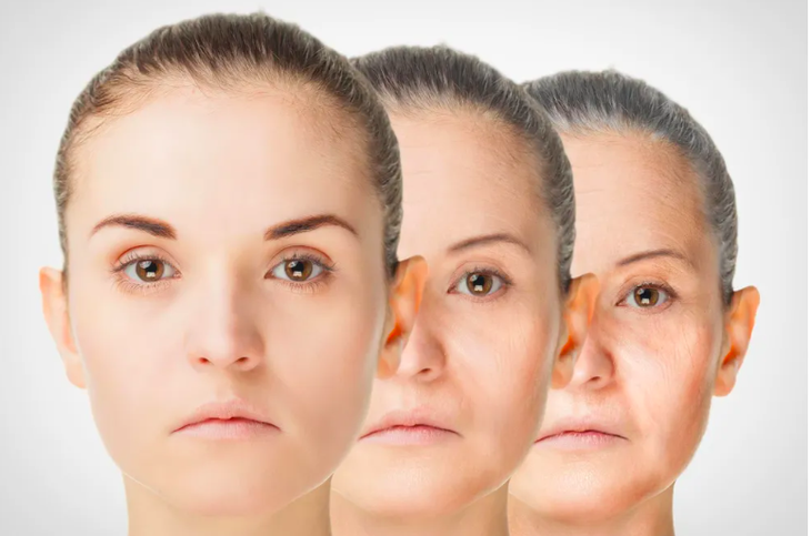 Tìm ra chất dinh dưỡng có thể chống đỡ lại sự lão hoá - Ảnh 1.