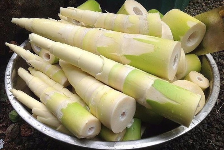 Ăn măng sẽ gây hại cho dạ dày, đúng hay sai?- Ảnh 1.