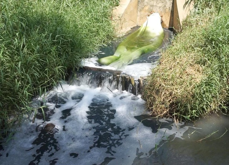 Một doanh nghiệp ở Huế bị xử phạt gần 300 triệu đồng vì 'bức tử' môi trường - Ảnh 1. Một doanh nghiệp ở Huế bị xử phạt gần 300 triệu đồng vì 'bức tử' môi trường - Ảnh 1.