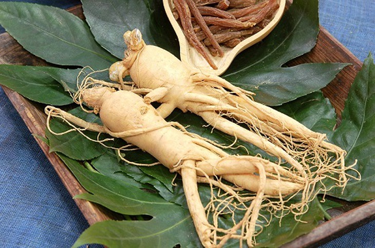 5 lưu ý khi dùng nhân sâm - Ảnh 4.
