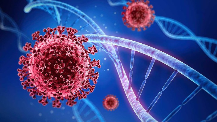 Sau khi nhiễm virus, hệ thống miễn dịch sẽ được kích hoạt, gọi là quá trình đáp ứng miễn dịch tự nhiên. Ảnh minh họa Sau khi nhiễm virus, hệ thống miễn dịch sẽ được kích hoạt, gọi là quá trình đáp ứng miễn dịch tự nhiên. Ảnh minh họa