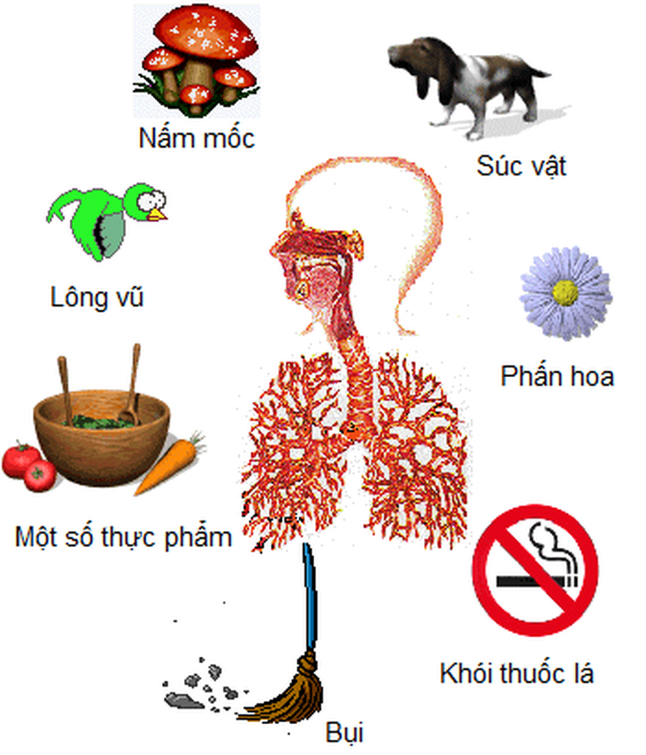 Vì sao người bệnh hen suyễn nên thận trọng với thực phẩm gây dị ứng? - Ảnh 2. Vì sao người bệnh hen suyễn nên thận trọng với thực phẩm gây dị ứng? - Ảnh 2.