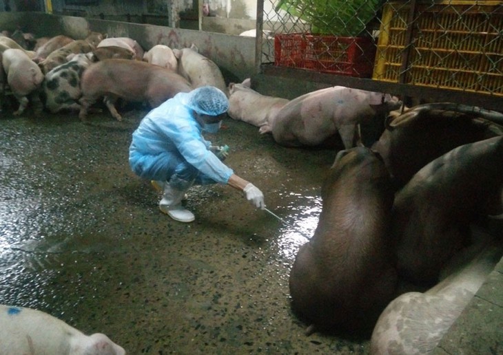 Phát hiện chất cấm trong chăn nuôi, Bộ Nông nghiệp ra công điện khẩn - Ảnh 1.