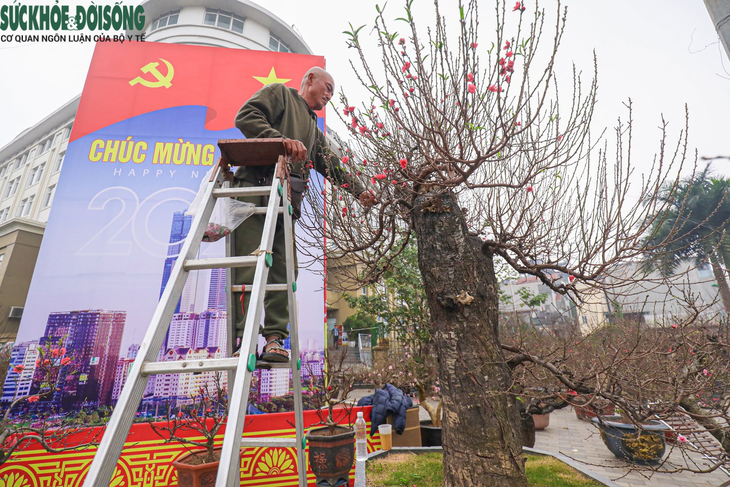 Nhiều "siêu đào" giá hàng chục, hàng trăm triệu đổ bộ xuống phố - Ảnh 1.