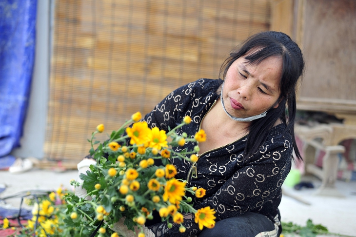 Hoa nở “lệch múi giờ”, nông dân Hà Nội thu hoạch sớm để bảo quản lạnh, chờ phục vụ người chơi đúng dịp Tết - Ảnh 5. Hoa nở “lệch múi giờ”, nông dân Hà Nội thu hoạch sớm để bảo quản lạnh, chờ phục vụ người chơi đúng dịp Tết - Ảnh 5.