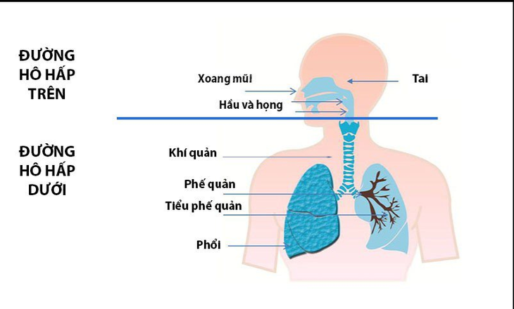 Thời điểm giao mùa Đông - Xuân các bệnh lây truyền qua đường hô hấp.