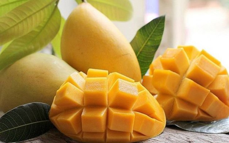 Xoài - không chỉ ngon, bổ dưỡng mà còn là vị thuốc trị bệnh