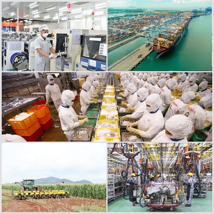 10 dấu ấn và sự kiện nổi bật năm 2022 của Việt Nam - Ảnh 2.