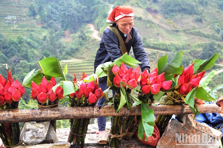 Rộn rã chợ phiên vùng cao ngày Tết - Ảnh 14.