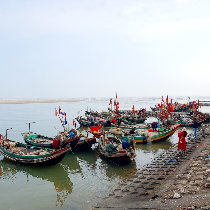 Ngư dân Hà Tĩnh trúng "lộc biển" đầu năm - Ảnh 12.