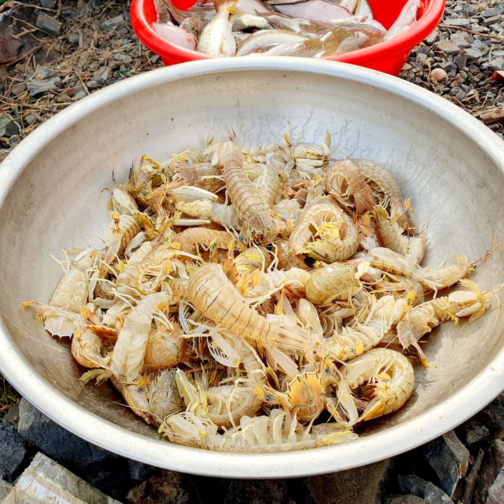 Ngư dân Hà Tĩnh trúng "lộc biển" đầu năm - Ảnh 6.