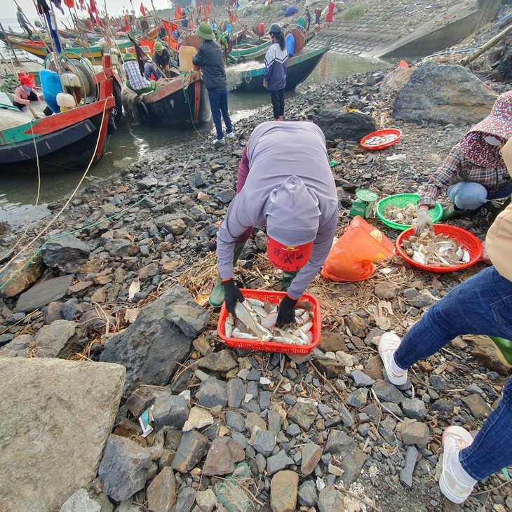 Ngư dân Hà Tĩnh đón "lộc biển" sau chuyến ra khơi đầu năm - Ảnh 11.