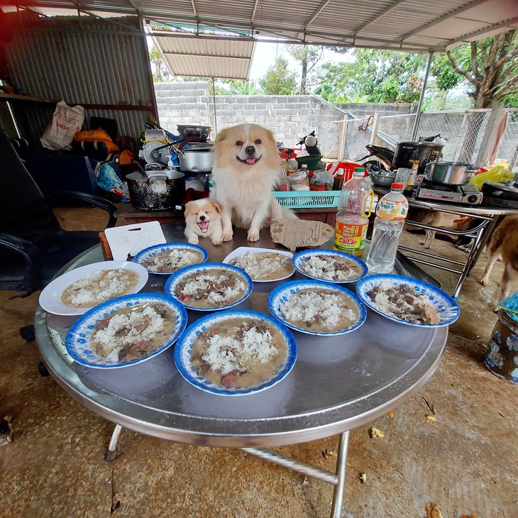 Dùng thanh xuân để cưu mang chó mèo - Ảnh 5.